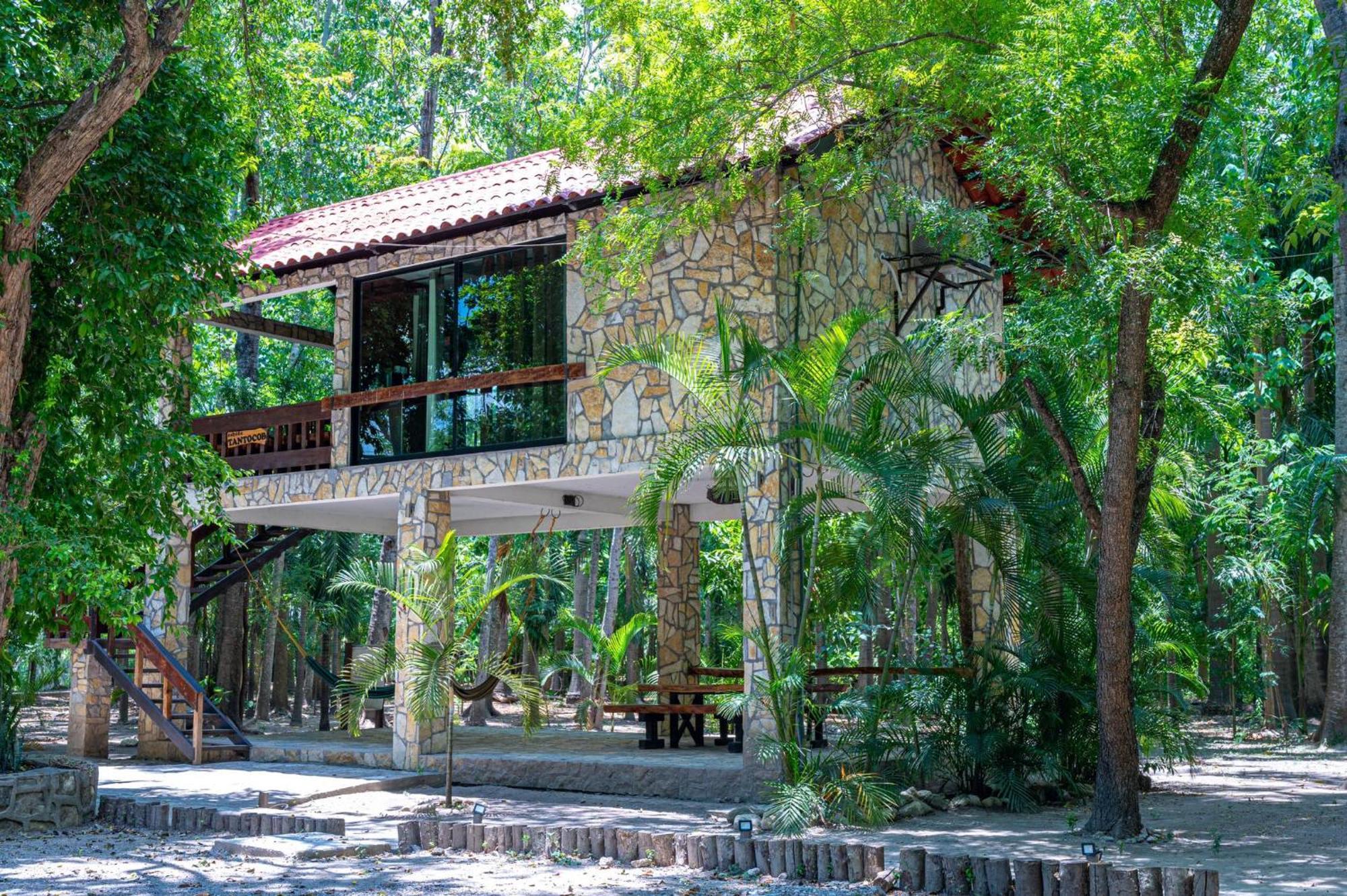 Cabanas Bosque Tantocob Сьюдад-Вальес Екстер'єр фото